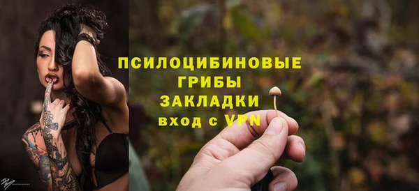 индика Аркадак