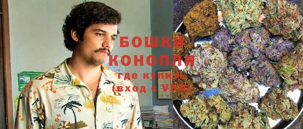 индика Аркадак