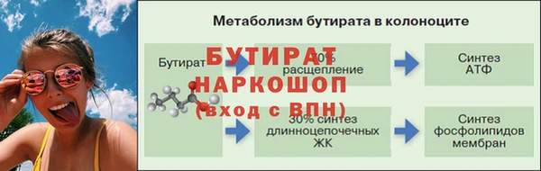 индика Аркадак