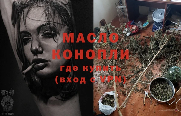 индика Аркадак